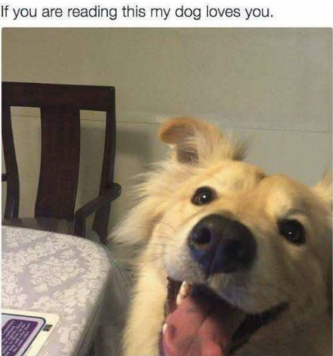 If you are reading this my dog loves you.