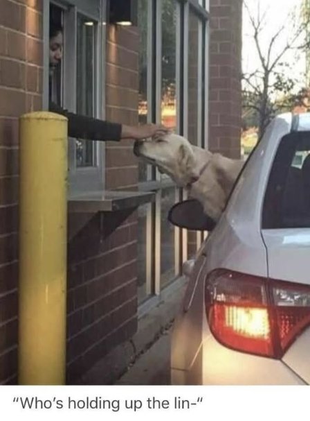"Who's holding up the lin-"