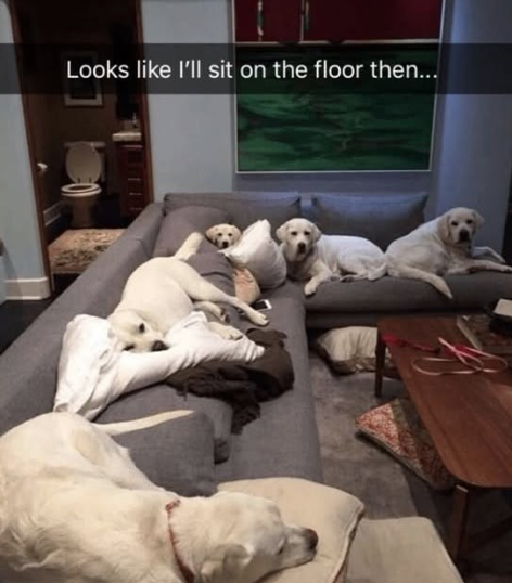 Looks like I'll sit on the floor then...