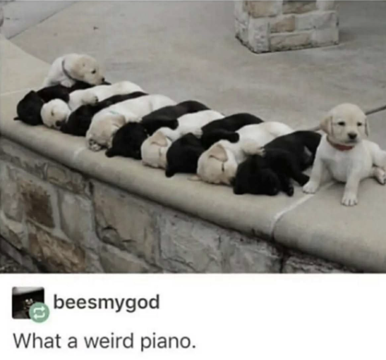 beesmygod What a weird piano.