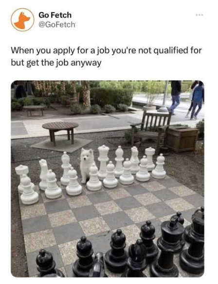Go Fetch @GoFetch When you apply for a job you're not qualified for but get the job anyway