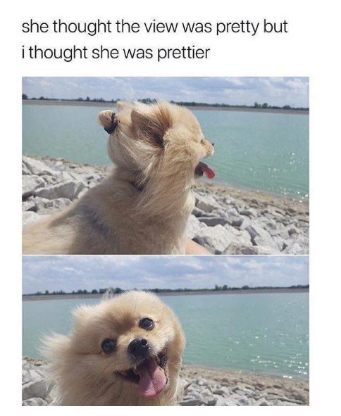 she thought the view was pretty but i thought she was prettier