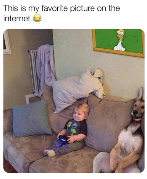 This is my favorite picture on the internet