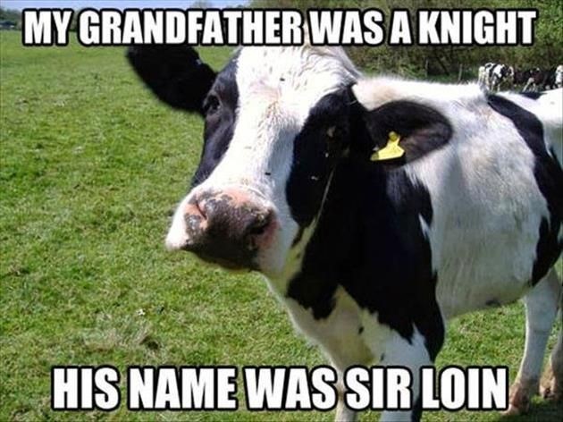 MY GRANDFATHER WAS A KNIGHT HIS NAME WAS SIR LOIN