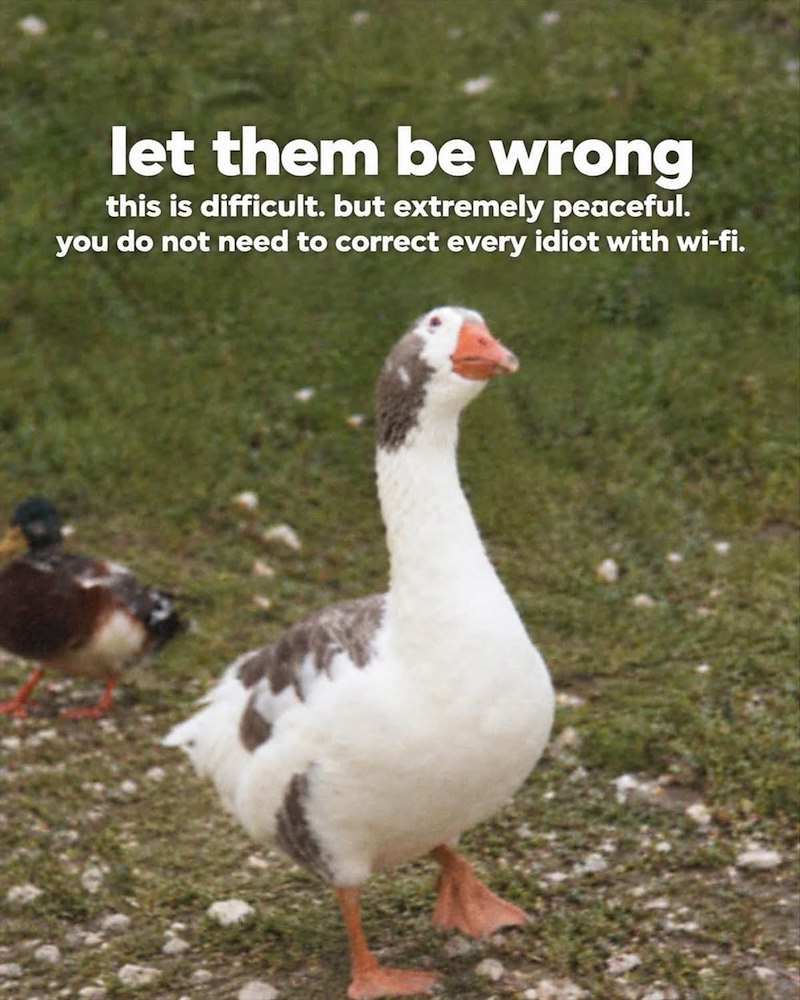 let them be wrong this is difficult. but extremely peaceful. you do not need to correct every idiot with wi-fi.
