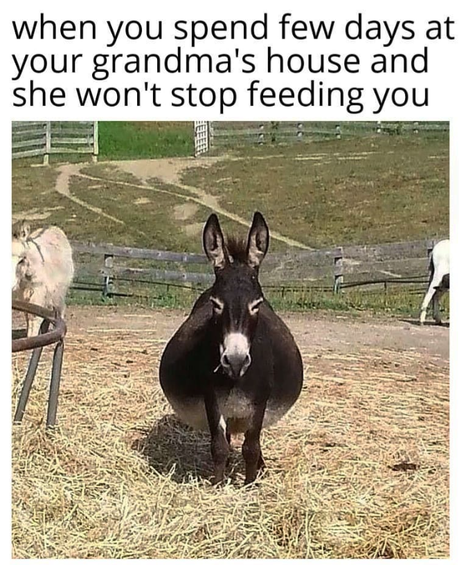 when you spend few days at your grandma's house and she won't stop feeding you