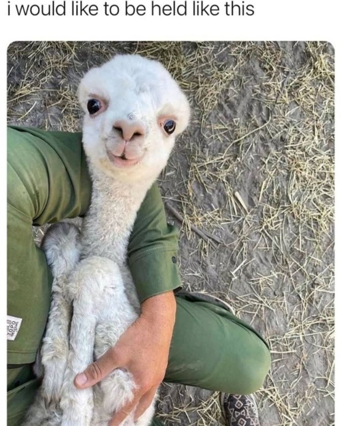 LOPO i would like to be held like this