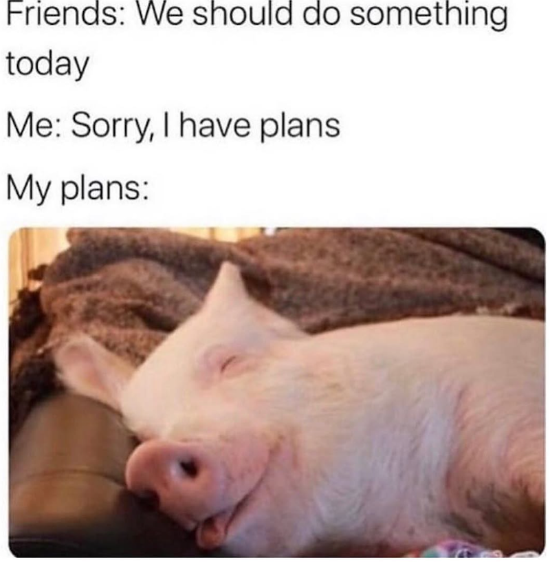 Friends: We should do something today Me: Sorry, I have plans. My plans: