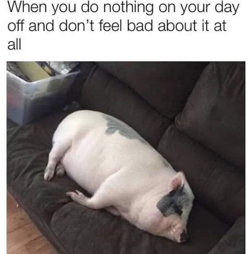 When you do nothing on your day off and don't feel bad about it at all