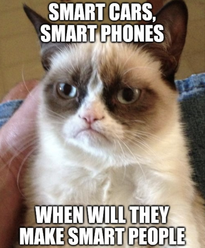 SMART CARS, SMART PHONES WHEN WILL THEY MAKE SMART PEOPLE