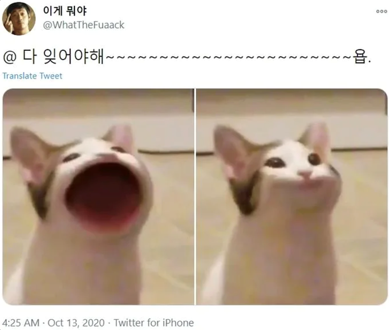 이게 뭐야 @WhatTheFuaack @ 다 잊어야해~ Translate Tweet ∙욥. 4:25 AM · Oct 13, 2020. Twitter for iPhone 000