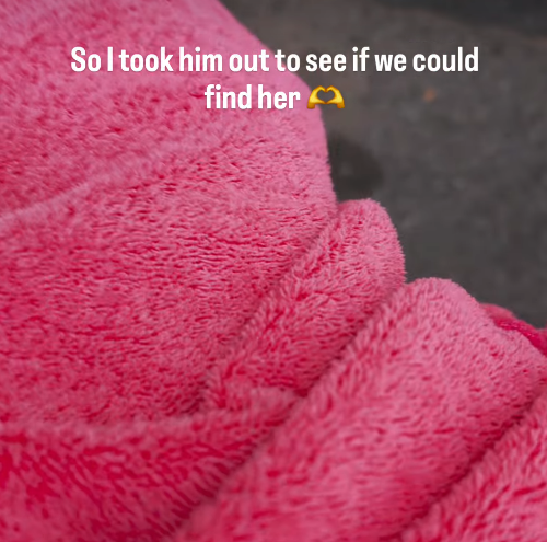 So I took him out to see if we could find her