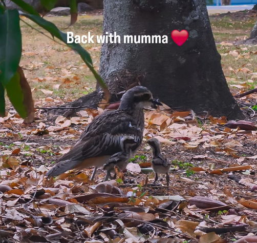 Back with mumma