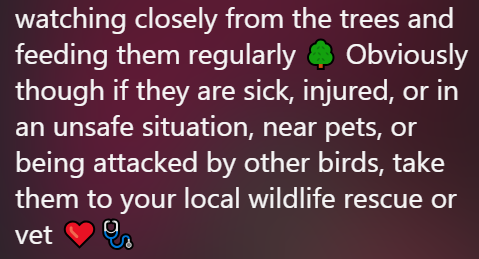Obviously watching closely from the trees and feeding them regularly though if they are sick, injured, or in an unsafe situation, near pets, or being attacked by other birds, take them to your local wildlife rescue or vet