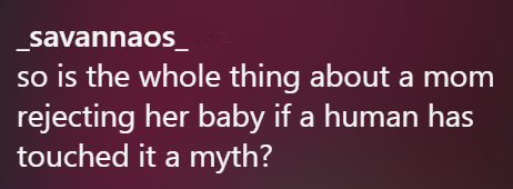 _savannaos_ so is the whole thing about a mom rejecting her baby if a human has touched it a myth?