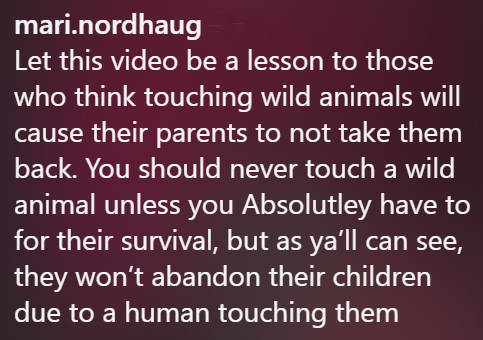 mari.nordhaug Let this video be a lesson to those who think touching wild animals will cause their parents to not take them back. You should never touch a wild animal unless you Absolutley have to for their survival, but as ya'll can see, they won't abandon their children due to a human touching them