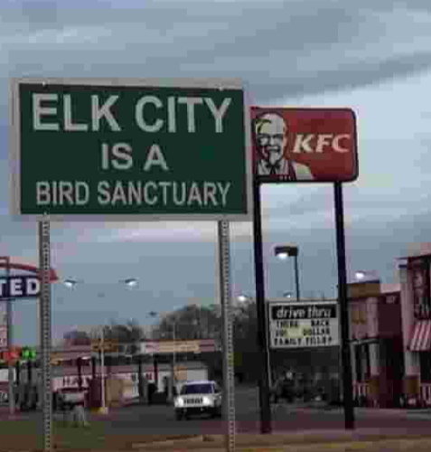 TED ELK CITY IS A BIRD SANCTUARY KFC drive thru THERE BACK DOLLER FAMILY FILLES