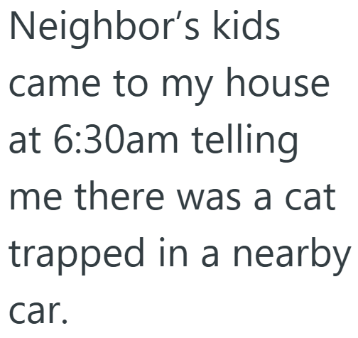 Neighbor's kids came to my house at 6:30am telling me there was a cat trapped in a nearby car.