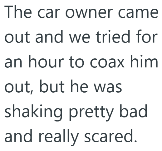 The car owner came out and we tried for an hour to coax him out, but he was shaking pretty bad and really scared.