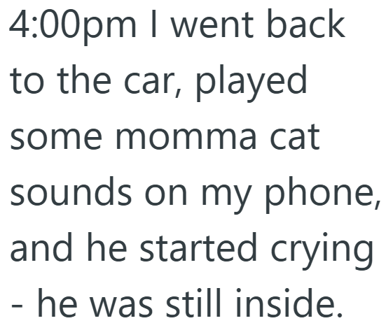 4:00pm I went back to the car, played some momma cat sounds on my phone, and he started crying - he was still inside.