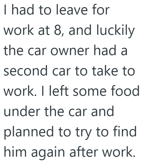 I had to leave for work at 8, and luckily the car owner had a second car to take to work. I left some food under the car and planned to try to find him again after work.