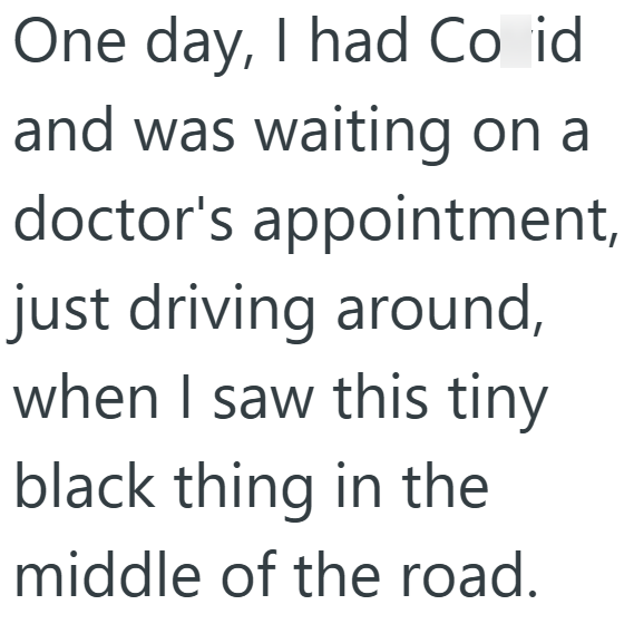 One day, I had Co id and was waiting on a doctor's appointment, just driving around, when I saw this tiny black thing in the middle of the road.