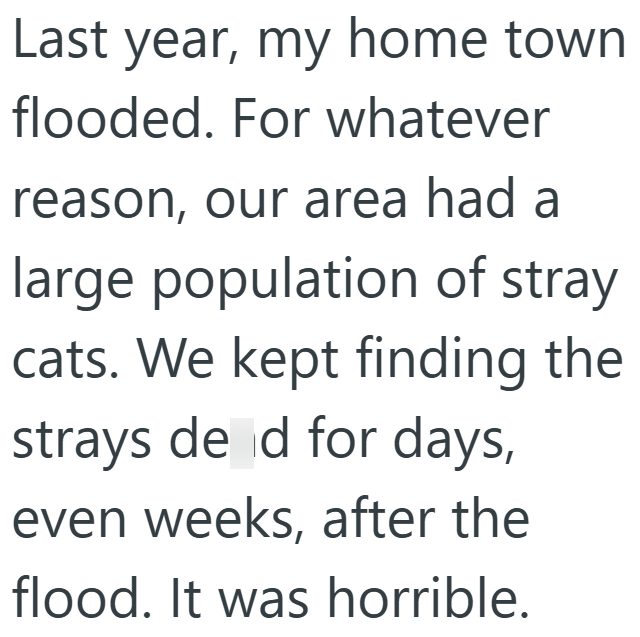Last year, my home town flooded. For whatever reason, our area had a large population of stray cats. We kept finding the strays de d for days, even weeks, after the flood. It was horrible.