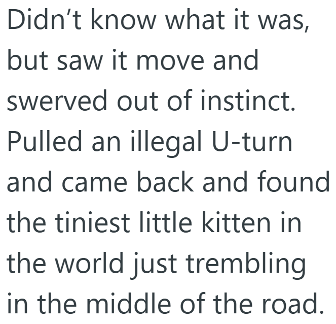 Didn't know what it was, but saw it move and swerved out of instinct. Pulled an illegal U-turn and came back and found the tiniest little kitten in the world just trembling in the middle of the road.