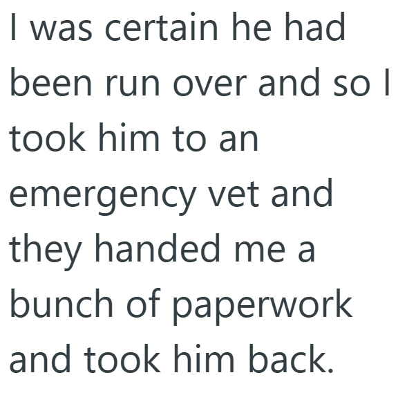 I was certain he had been run over and so I took him to an emergency vet and they handed me a bunch of paperwork and took him back.