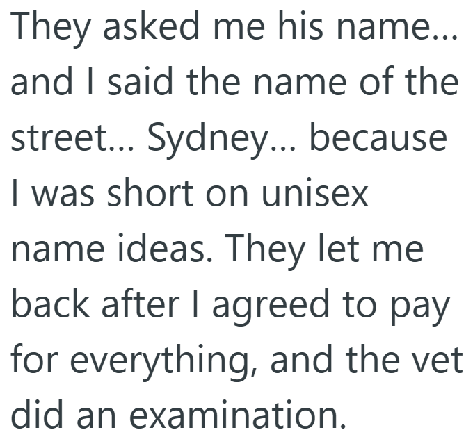 They asked me his name... and I said the name of the street... Sydney... because I was short on unisex name ideas. They let me back after I agreed to pay for everything, and the vet did an examination.