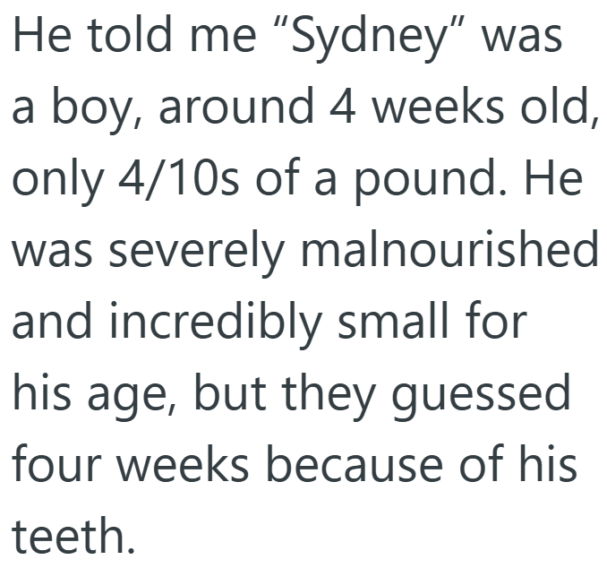 He told me "Sydney" was a boy, around 4 weeks old, only 4/10s of a pound. He was severely malnourished and incredibly small for his age, but they guessed four weeks because of his teeth.