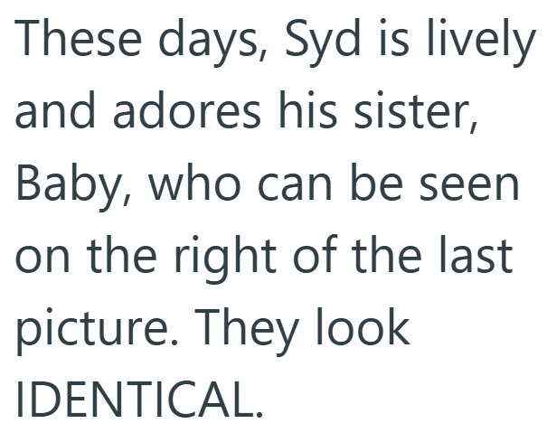 These days, Syd is lively and adores his sister, Baby, who can be seen on the right of the last. picture. They look IDENTICAL.