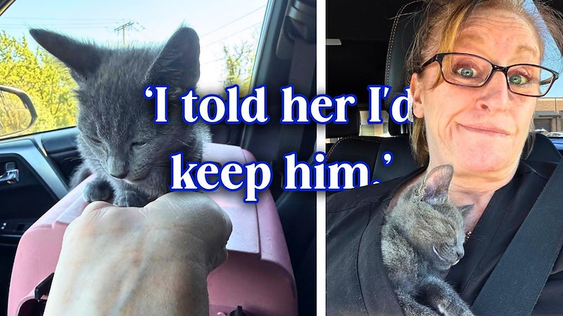 'I told her I'd keep him.