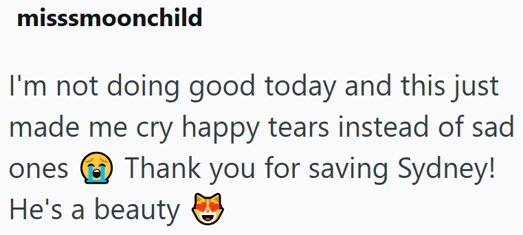 misssmoonchild I'm not doing good today and this just made me cry happy tears instead of sad ones Thank you for saving Sydney! He's a beauty