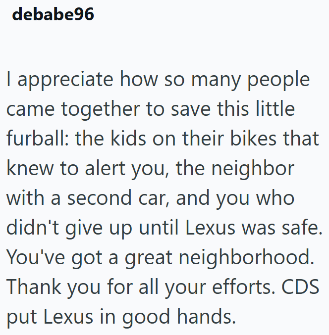 debabe96 I appreciate how so many people came together to save this little furball: the kids on their bikes that knew to alert you, the neighbor with a second car, and you who didn't give up until Lexus was safe. You've got a great neighborhood. Thank you for all your efforts. CDS put Lexus in good hands.