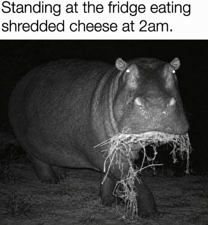 Standing at the fridge eating shredded cheese at 2am.