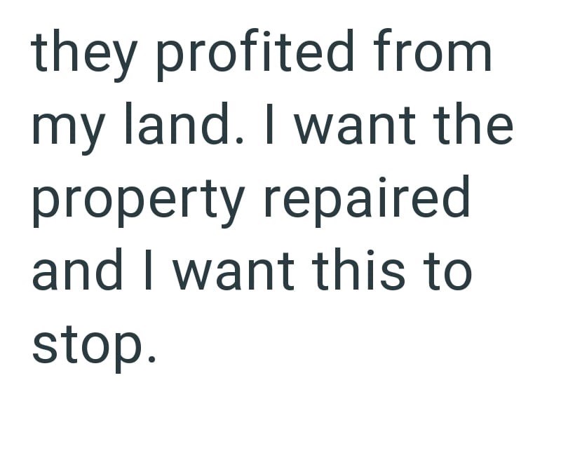 they profited from my land. I want the property repaired and I want this to stop.