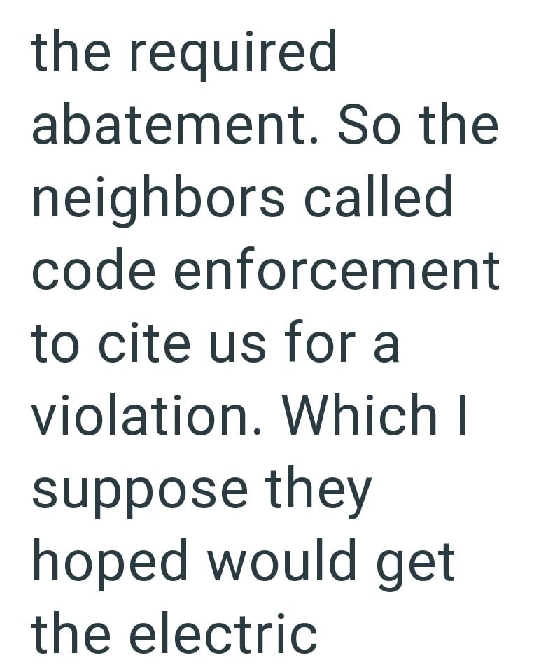 the required abatement. So the neighbors called code enforcement to cite us for a violation. Which I suppose they hoped would get the electric