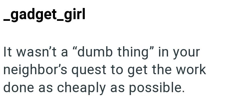 _gadget_girl It wasn't a "dumb thing" in your neighbor's quest to get the work done as cheaply as possible.