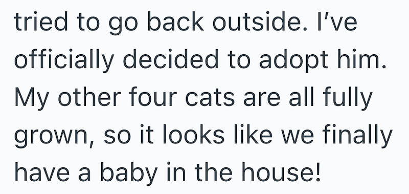 tried to go back outside. I've officially decided to adopt him. My other four cats are all fully grown, so it looks like we finally have a baby in the house!