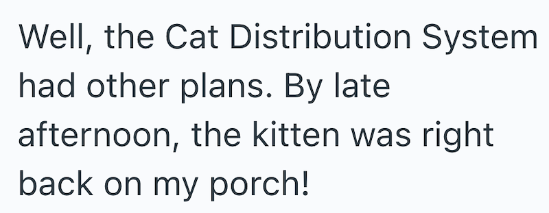 Well, the Cat Distribution System had other plans. By late afternoon, the kitten was right back on my porch!