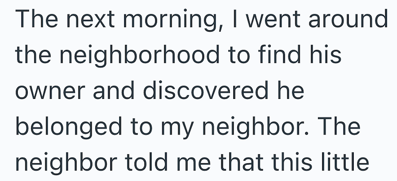 The next morning, I went around the neighborhood to find his owner and discovered he belonged to my neighbor. The neighbor told me that this little