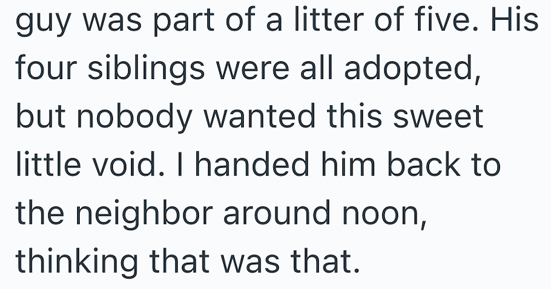 guy was part of a litter of five. His four siblings were all adopted, but nobody wanted this sweet little void. I handed him back to the neighbor around noon, thinking that was that.