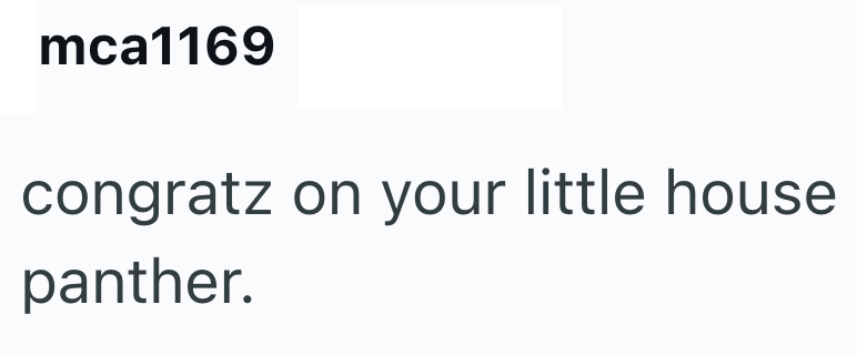 mca1169 congratz on your little house panther.