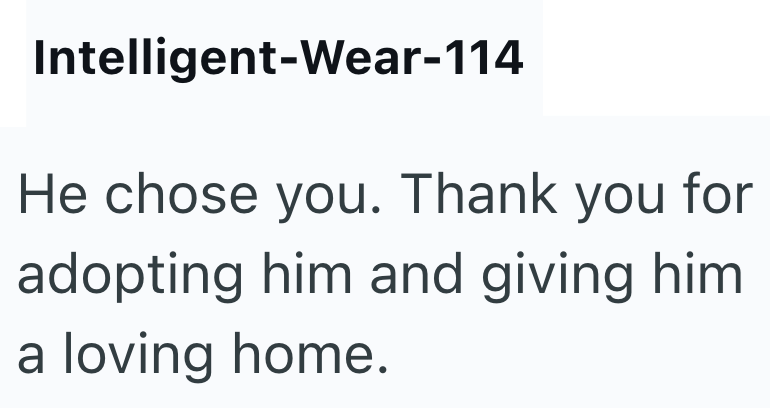 Intelligent-Wear-114 He chose you. Thank you for adopting him and giving him a loving home.