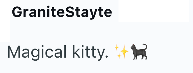 GraniteStayte Magical kitty.