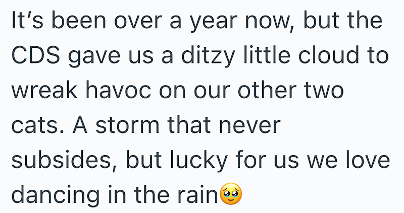 It's been over a year now, but the CDS gave us a ditzy little cloud to wreak havoc on our other two cats. A storm that never subsides, but lucky for us we love dancing in the rain®