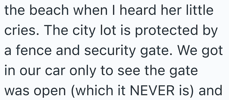 the beach when I heard her little cries. The city lot is protected by a fence and security gate. We got in our car only to see the gate was open (which it NEVER is) and