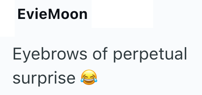 EvieMoon Eyebrows of perpetual surprise