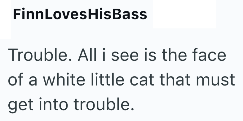 FinnLovesHisBass Trouble. All i see is the face of a white little cat that must get into trouble.